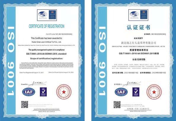 Chine Green trip sports industry group certifications